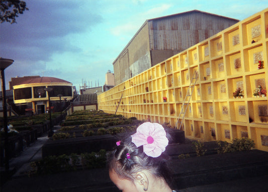 Flower Girl - Steven, 8